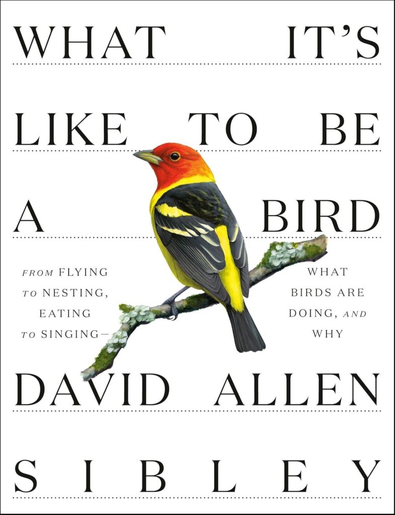 Best Birding Book – What It’s Like to Be a Bird Review