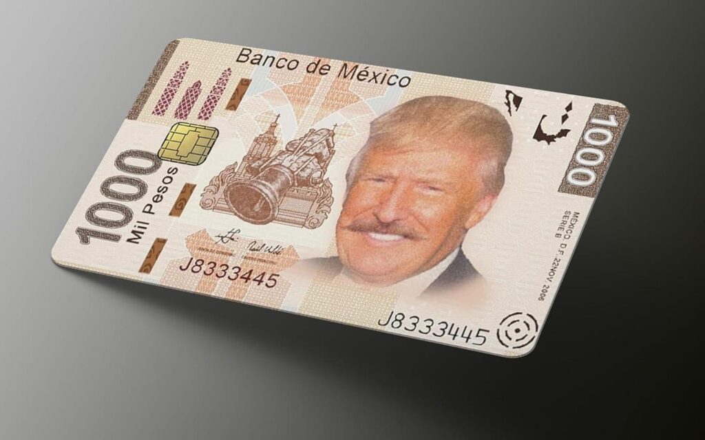 Best Card Skin – Trump 2024 Credit Card Skin Review (Regular)