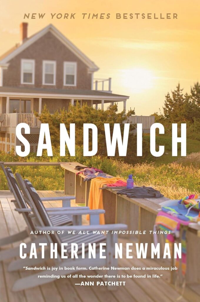 Best Family Fiction – Sandwich: A Novel Review