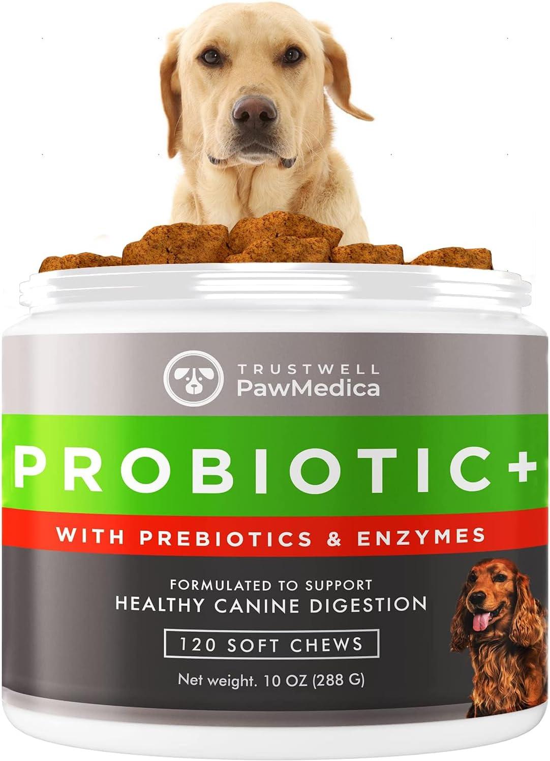 Surprising Comparison: USA-Made Probiotics, Chew Format, 120-Chew, & Prebiotic Combo for Dog Digestive Health