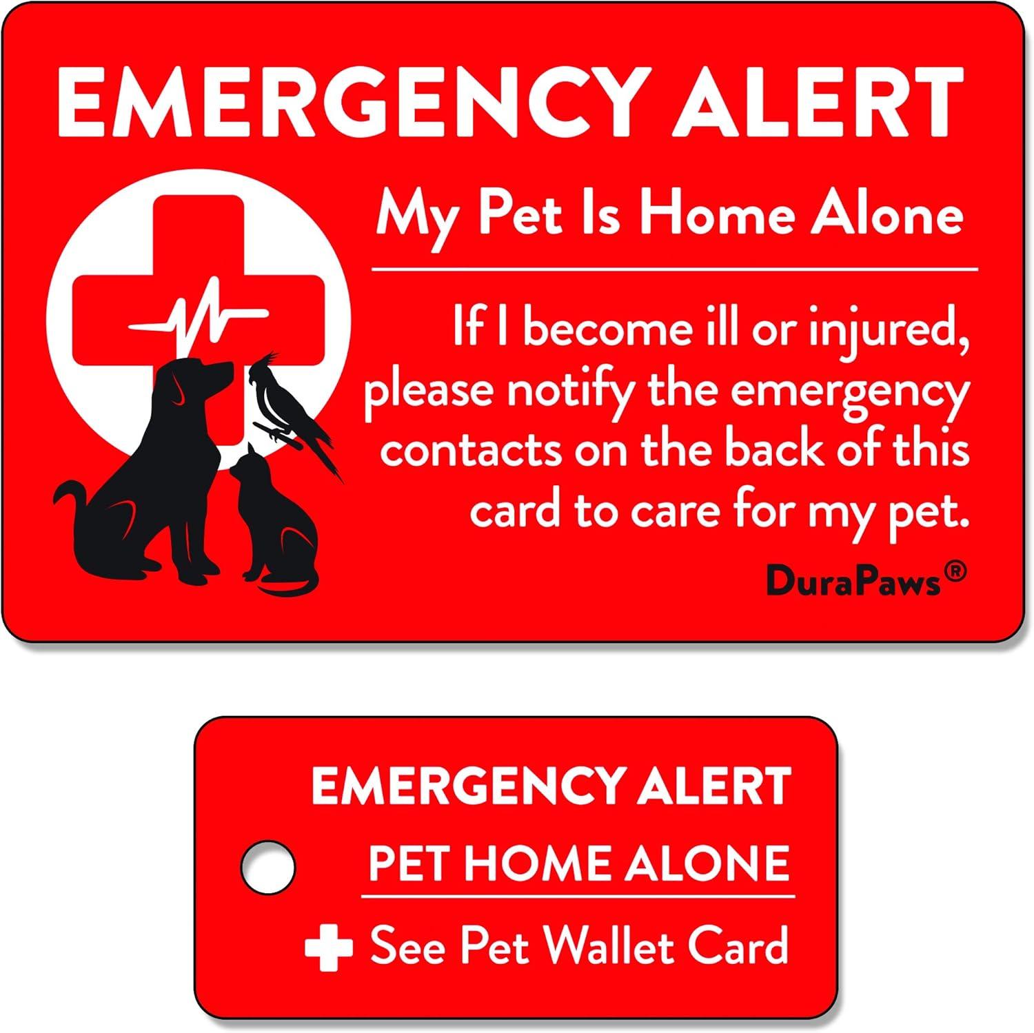 Writable Surface, Emergency Alert: Surprising Pet Safety Showdown for Home Alone