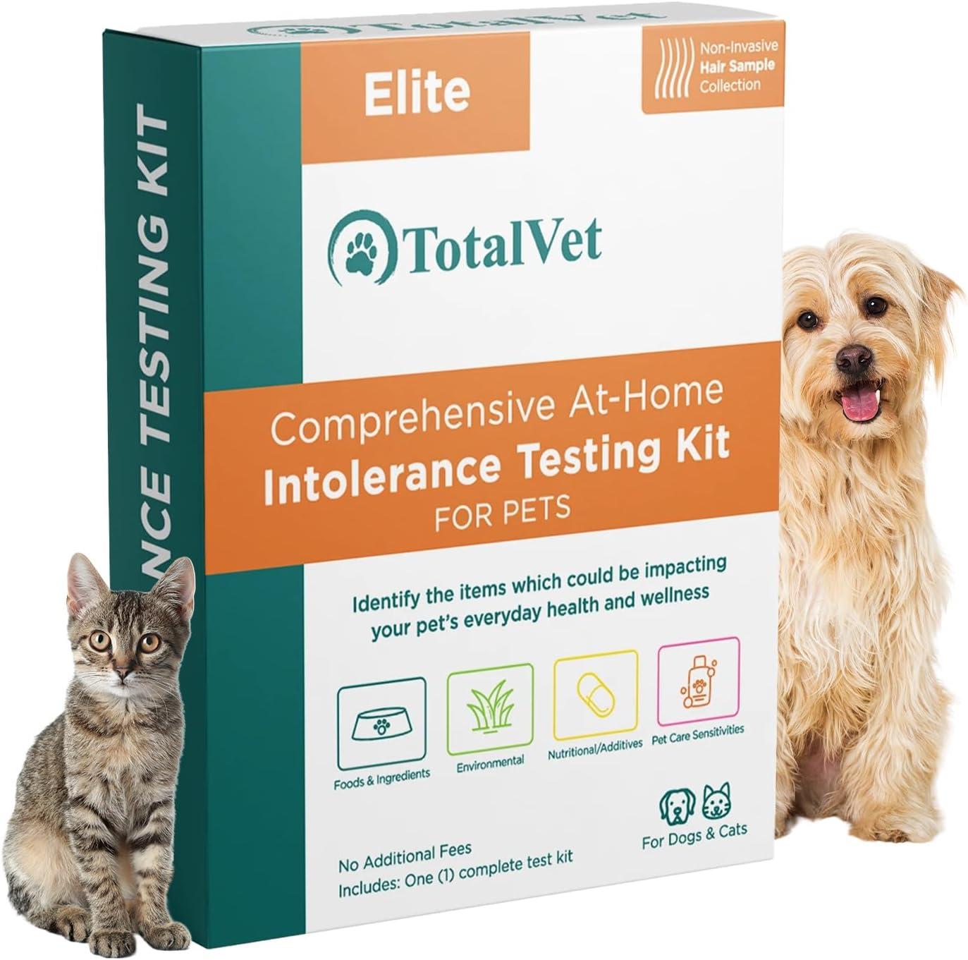 Pet Allergy Test vs At-Home Intolerance Test: Surprising Insights on Environment & Additives