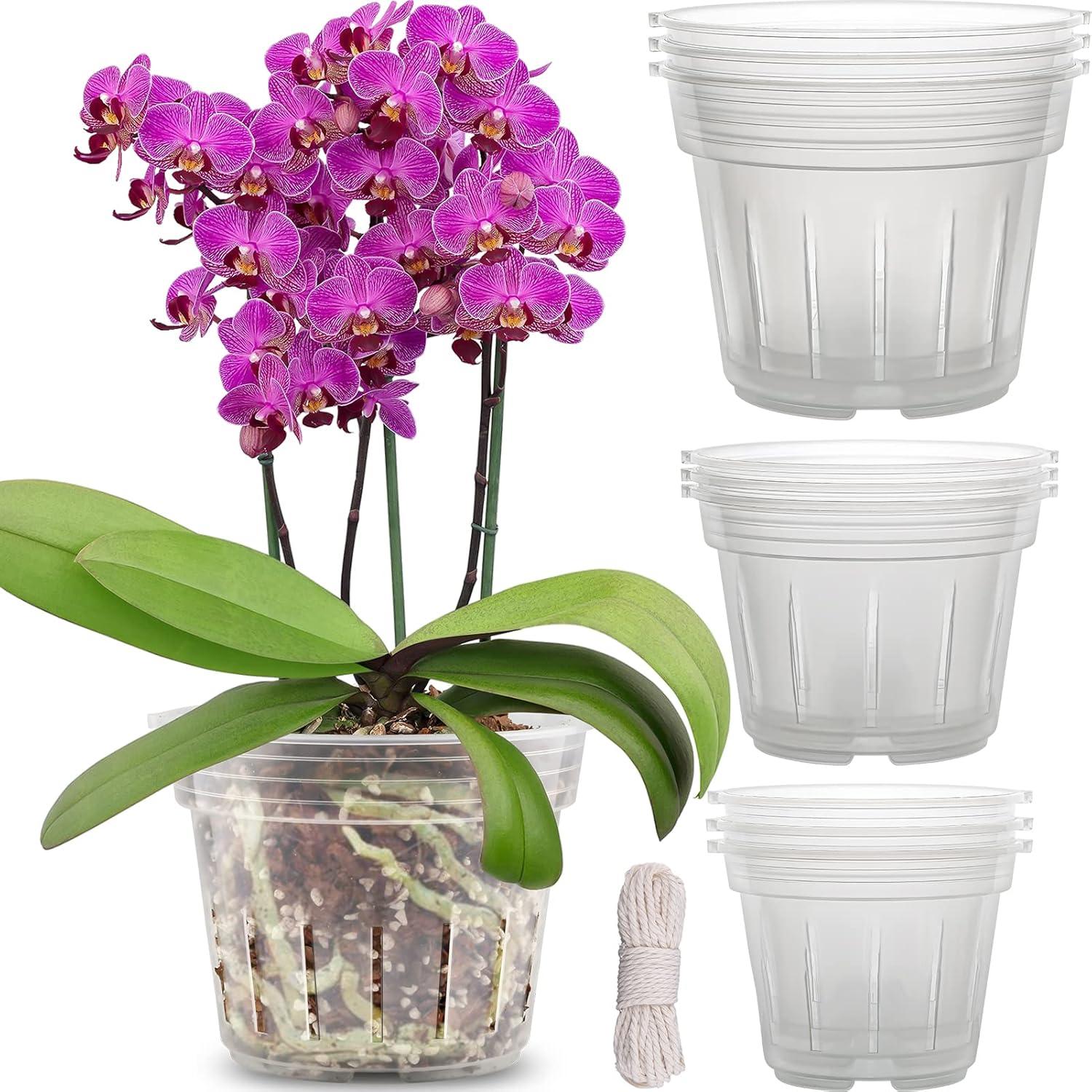 Orchid Pot 9-Pack vs. Clear Flower Planters: Holes, Sizes, Slotted Design Tested for Indoor/Outdoor Use