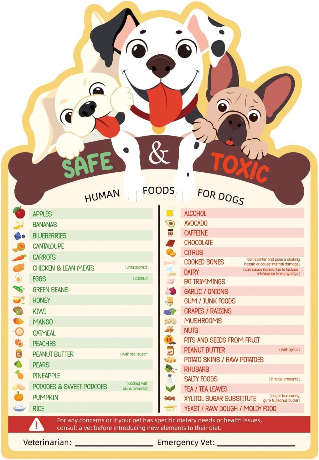 9.75x6.75in Fridge Magnet vs. Safe Food Chart with Surprising Insight for Dog Feeding!