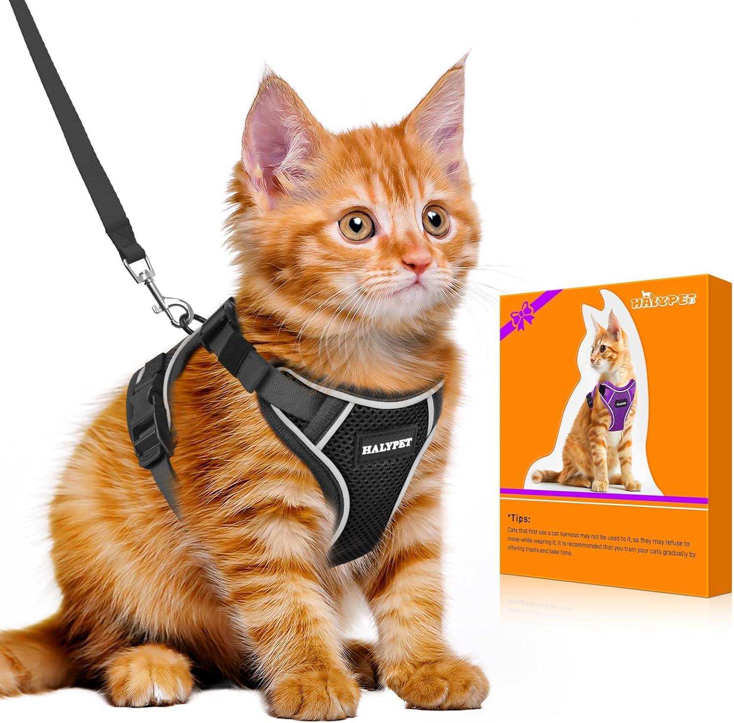 MAX Safety 4th-Gen & Escape-Proof: Halypet Cat Harness Tested for Safe Walks (Reflective, Small Black)