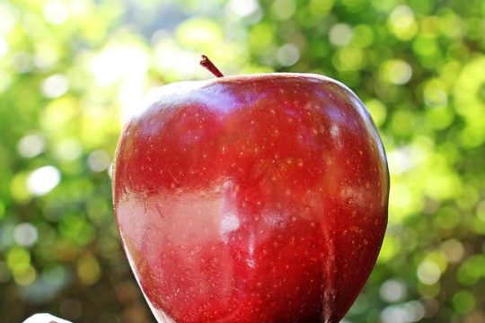Looking for an Apple Pie That Comes Out Perfect? Pick These Best Apples