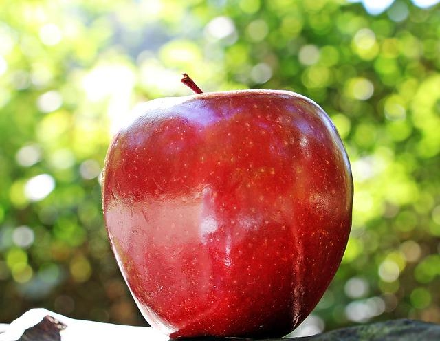 Looking for an Apple Pie That Comes Out Perfect? Pick These Best Apples