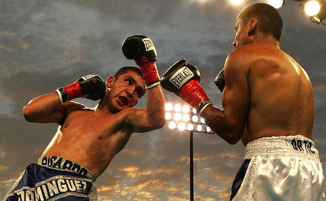 Best Boxer in History: Your Definitive Answer
