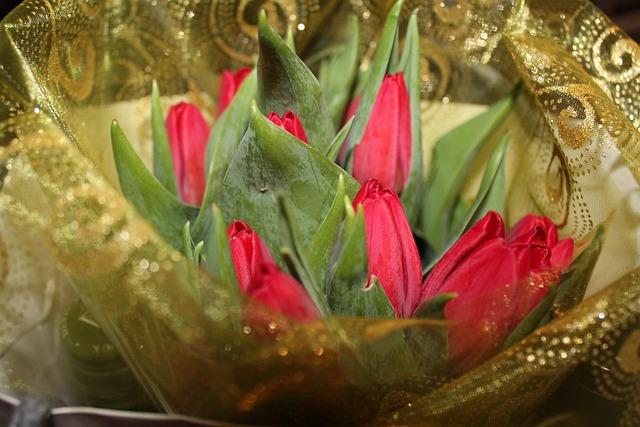 Best Wishes Quotes to Spread Good Vibes and Make Wishes Meaningful