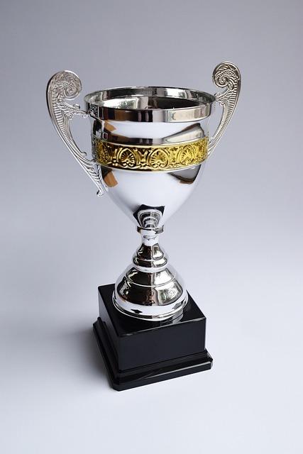The Best Award Debate: What Truly Counts?