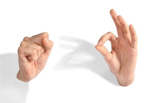 The Top Waffle Maker for Easy Breakfasts at Home