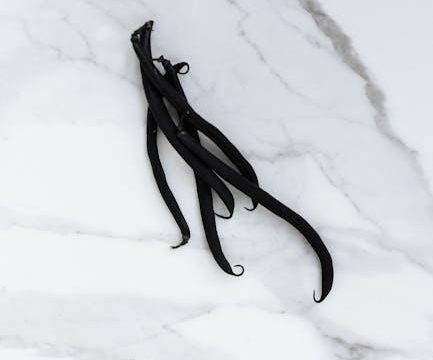 Hello, how do I source the best vanilla beans?