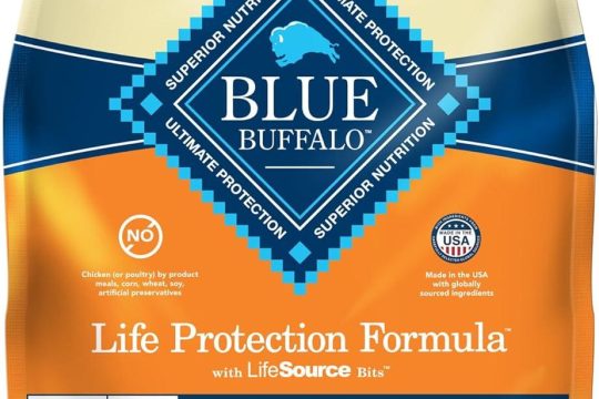Best Large Breed Dog Food – Blue Buffalo Life Protection Review