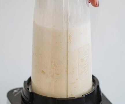 Best Hand Blender – Breville Control Grip Immersion Review