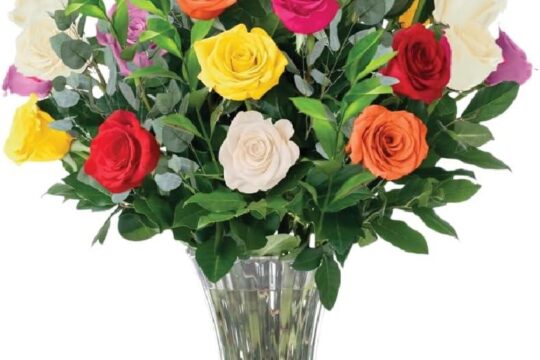 Best Fresh Flower Bouquet – Aquarossa Farms – 24 Fresh Roses Review