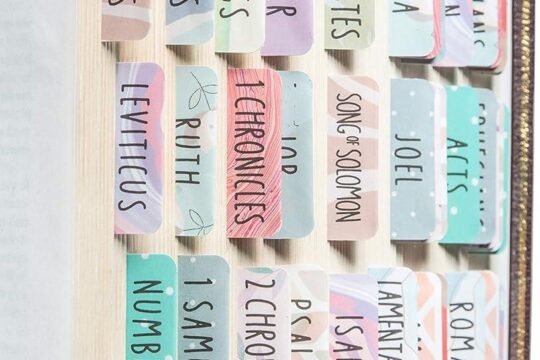 Best Bible Tabs – DiverseBee Laminated Tabs Easy to Read Review