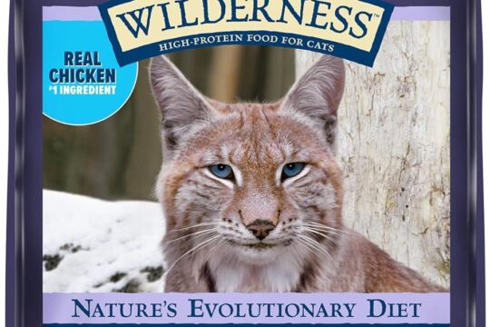 Best Cat Food – Blue Buffalo Wilderness Dry Cat Food Review