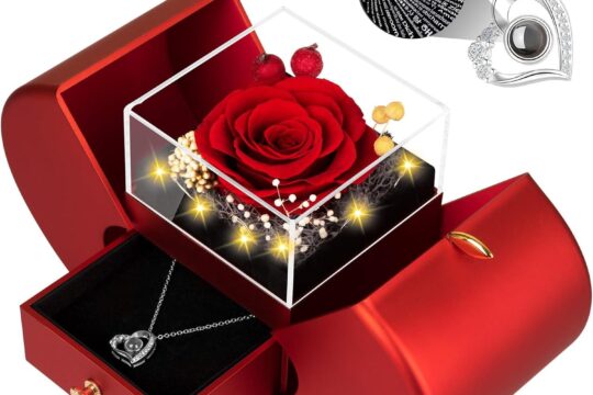 Best Romantic Gift – Preserved Red Real Rose with Necklace Review