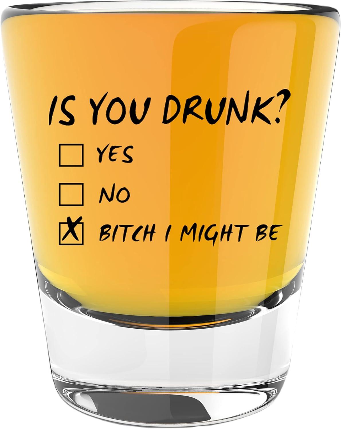 Best Shot Glasses – LitGifts Is You Drunk Design Review