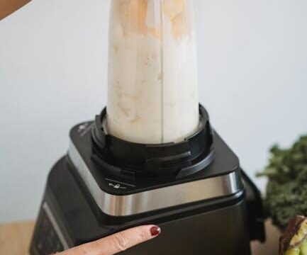 Best Hand Blender – NutriBullet Personal Blender Review