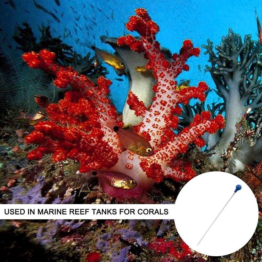 Best Aquarium Tools – Coral SPS HPS Feeder – 2 PCS Long Acrylic Aquarium Coral Feeder Syringe Tube Review