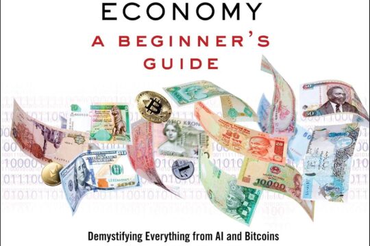 Best Economics Book – The New World Economy: A Beginner’s Guide Review