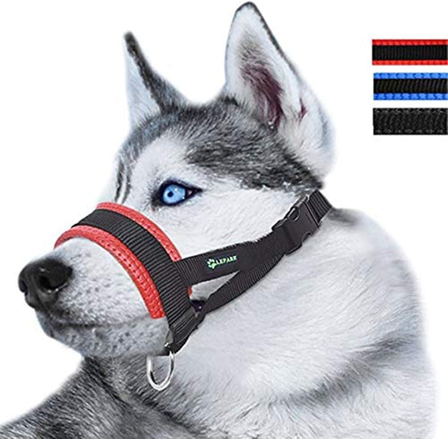 Elevated Bowls Compared to Muzzles: Surprising Insight for Easier, Joint-Friendly Meals