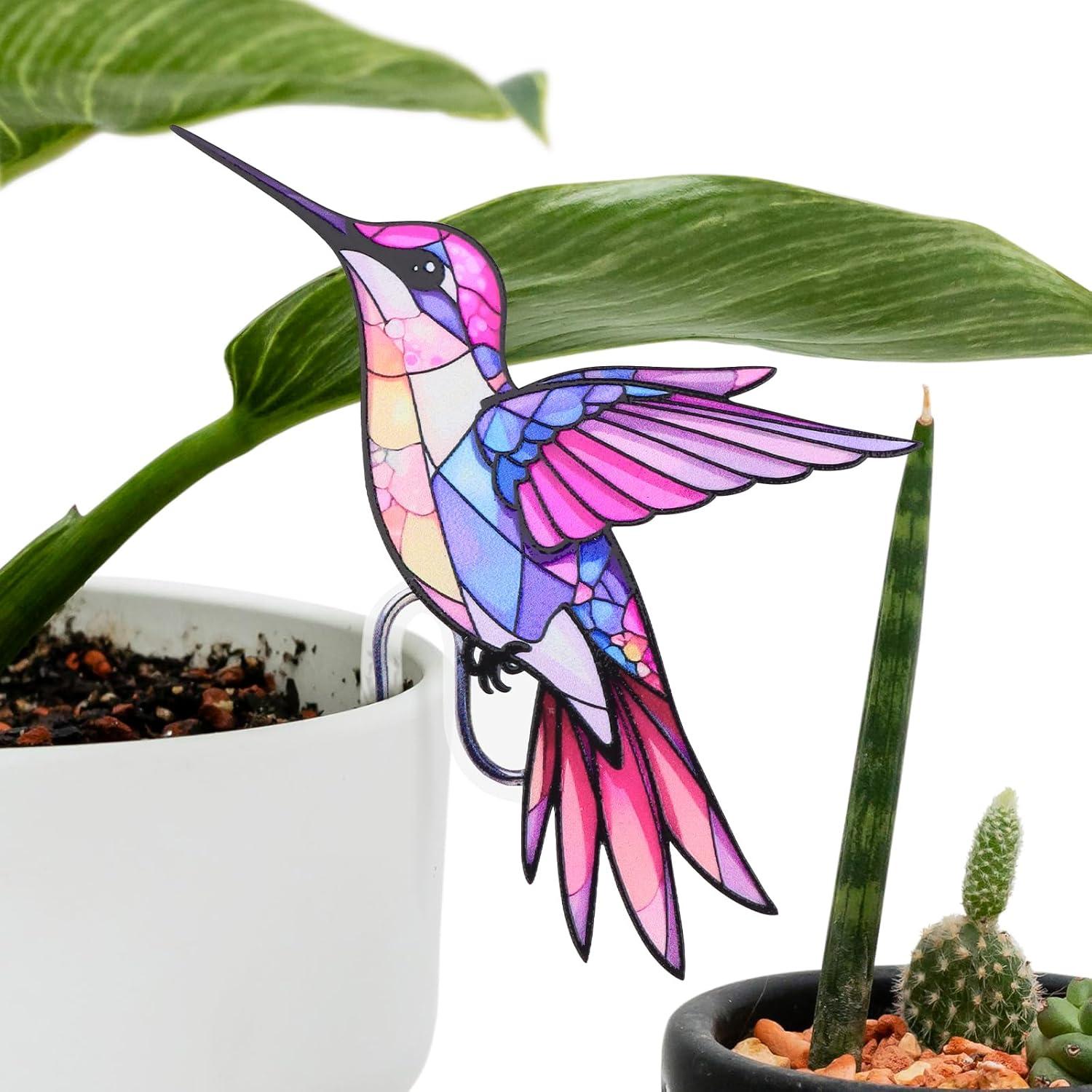 Hanging Planters Versus Hummingbird Bird Decor: Tested for Space-Saving and Rustic Charm