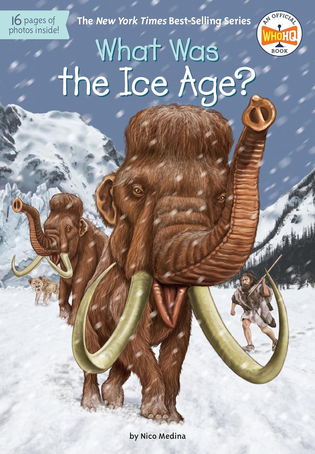 What Was the Ice Age? (Fossil Fun, Tested)