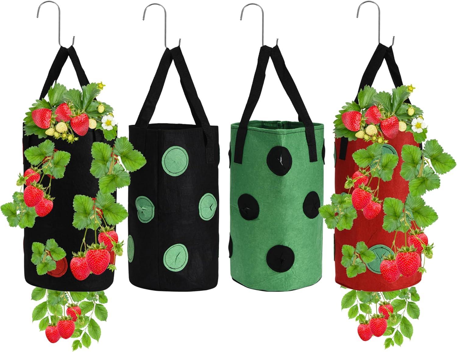 Upside Down Strawberry Planter Showdown: Tested Growth & No Tangles!