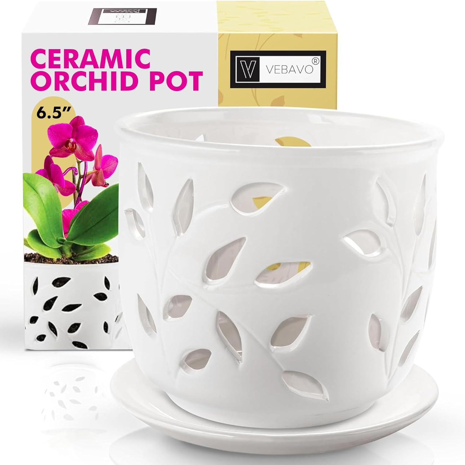 Saucer Holes, Durable Design, Tested for Care: Orchid Pot Meetup