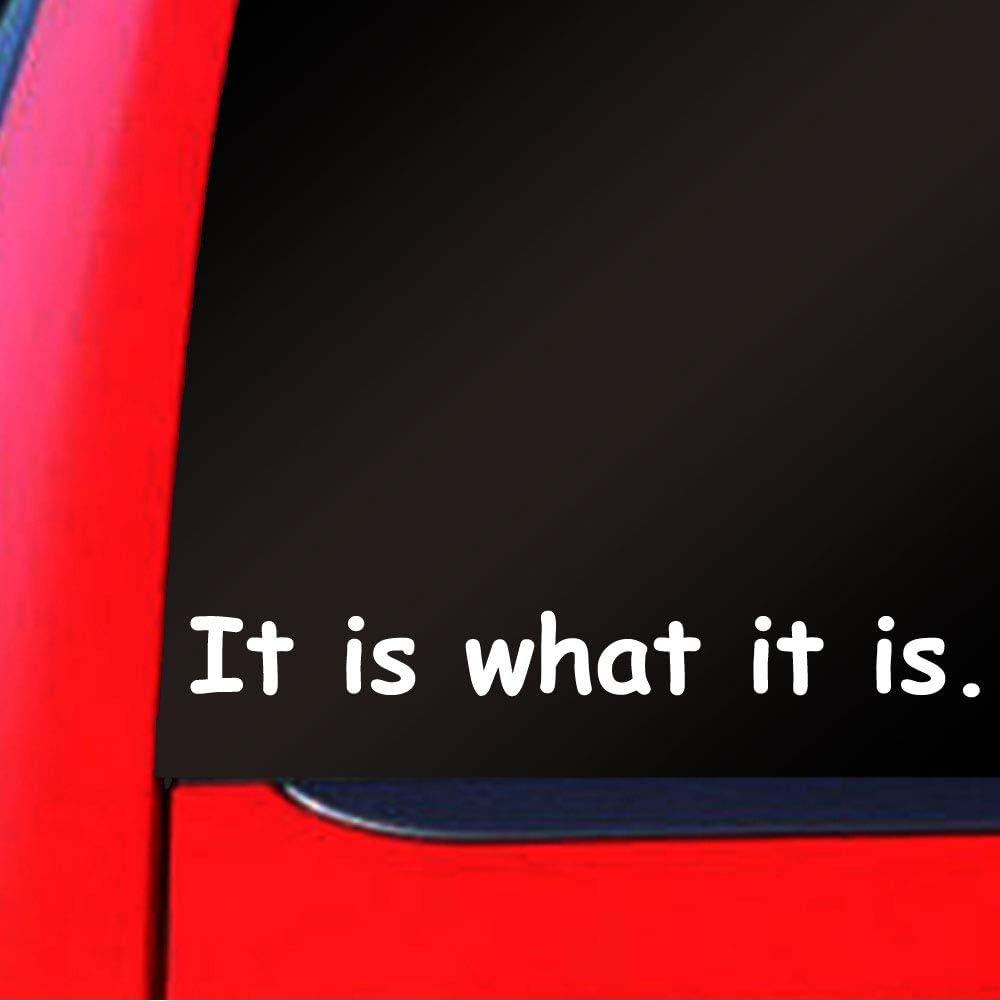 Car Decals Showdown: Skull, White Window, 8x1 Oracal Vinyl