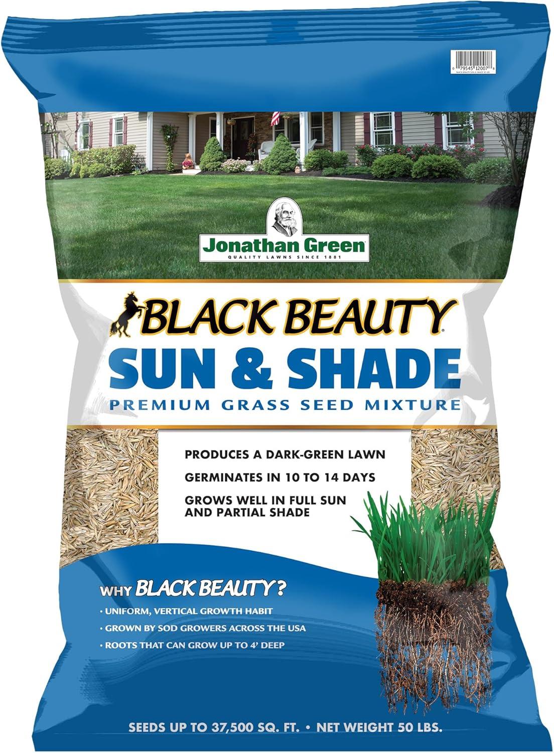 Creative vs Neutral: Surprise Sun & Shade (Black Beauty) Tested for Cool Season Lawns-Eco-Friendly?