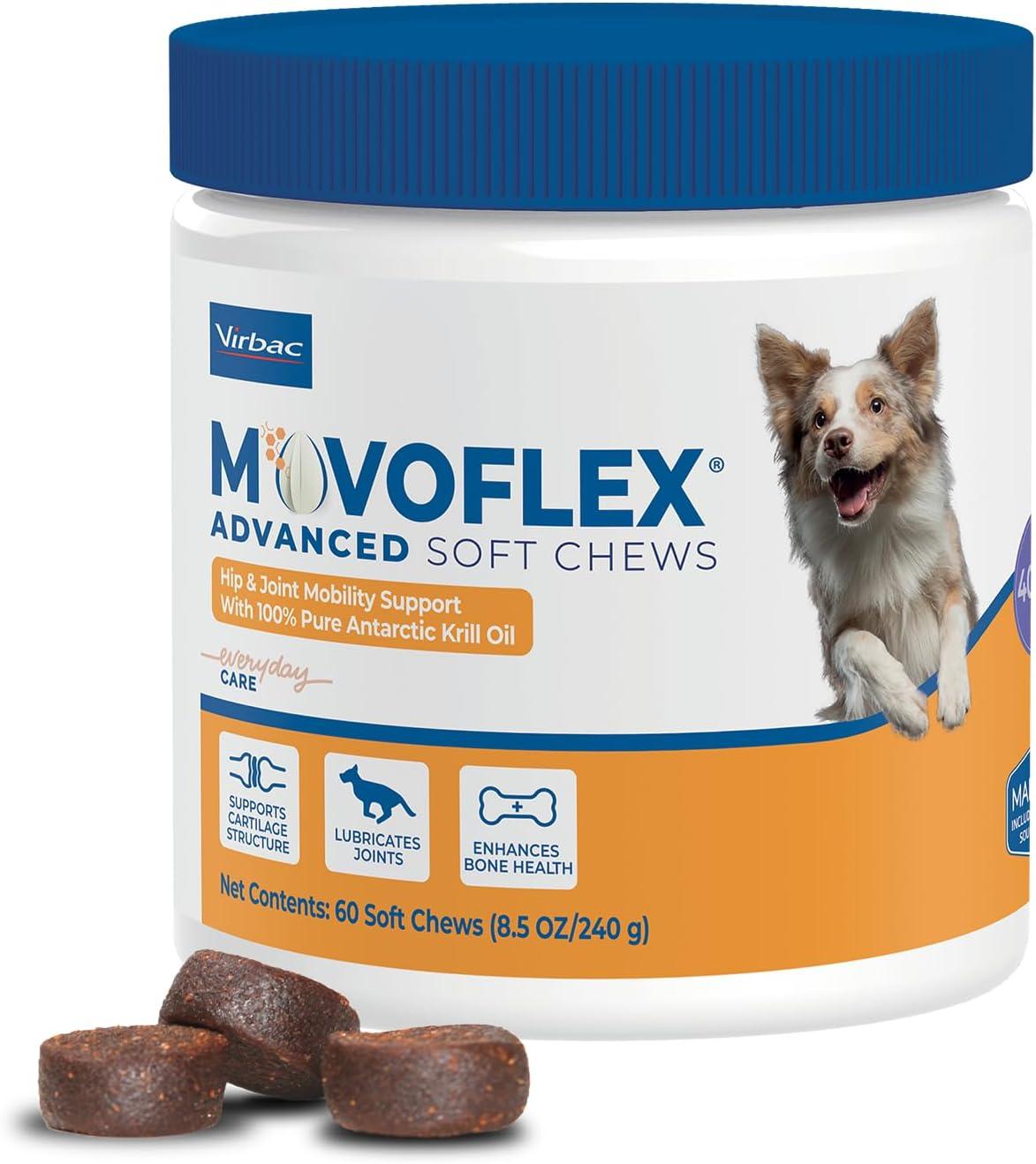 Dog Chews Tested: Surprising Insight into Digestibility & Dental Hygiene