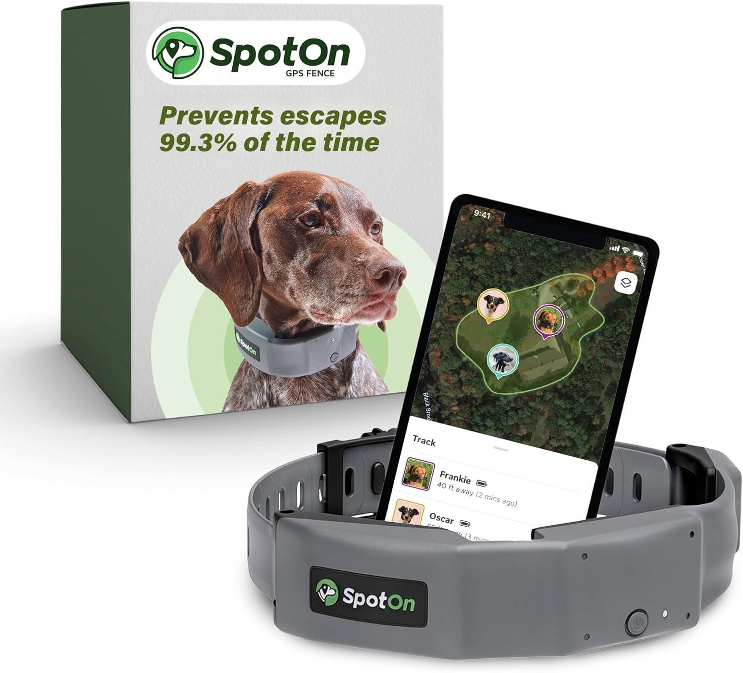 Surprising Wireless Fence Insights for Safe Outdoor Adventures with Multi-Pet Customization