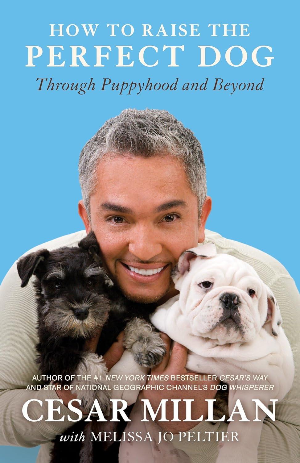 Surprising: Puppyhood Prep (vs. GPS Collar) in Dog Tech Showdown