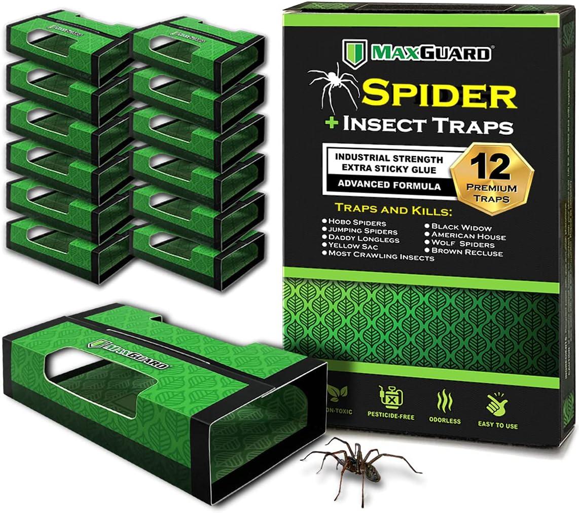 Showdown: Extra Sticky Traps Tested Vs. Non-Toxic Spider Killer-Surprising Insight