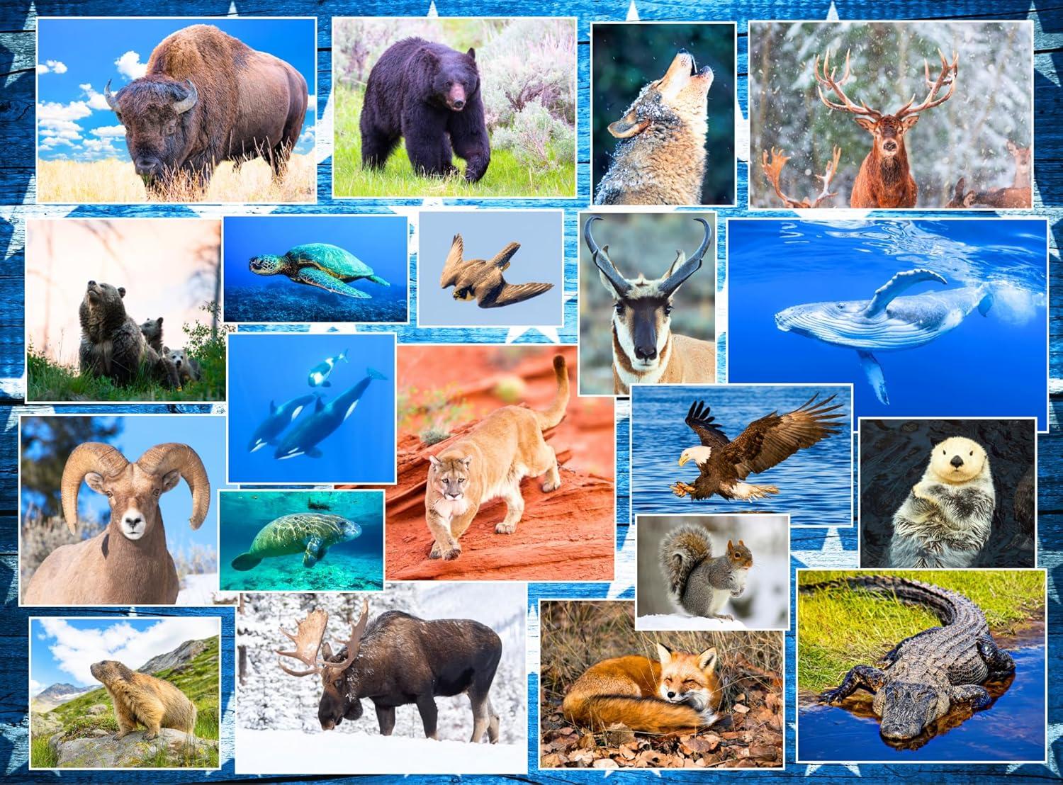 Wildlife Park Puzzle Compared: 500 Pieces, Tested, Animals ..., Jigsaw Gift