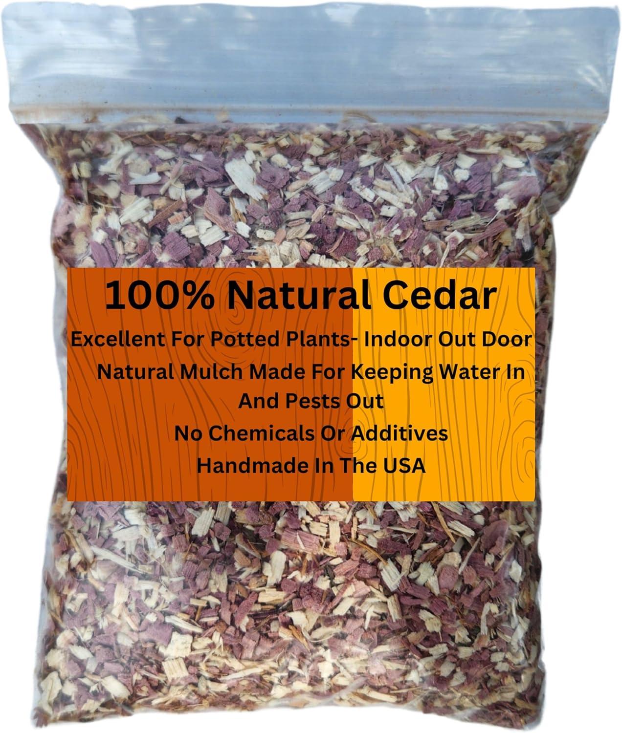 Pet Care Showdown: Non-Poisonous, Aloe, Earthy Cedar Scent