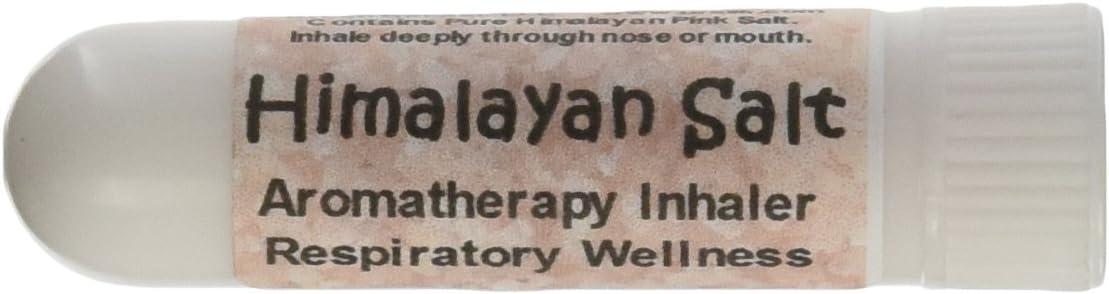 Himalayan Salt vs. Regular Filter: Tested for Respiratory Wellness (Polluted World)
