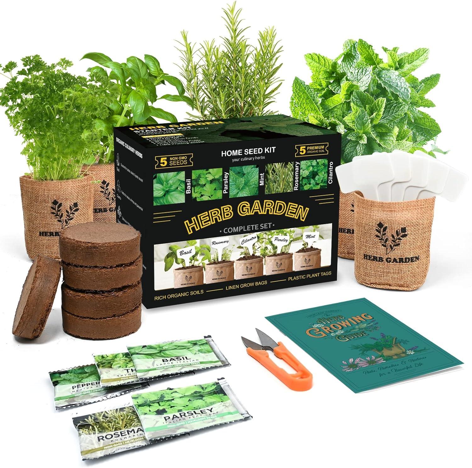 Surprising Insight: Non-GMO Seeds (Minus the Hassle) for Indoor Herb Garden Tested