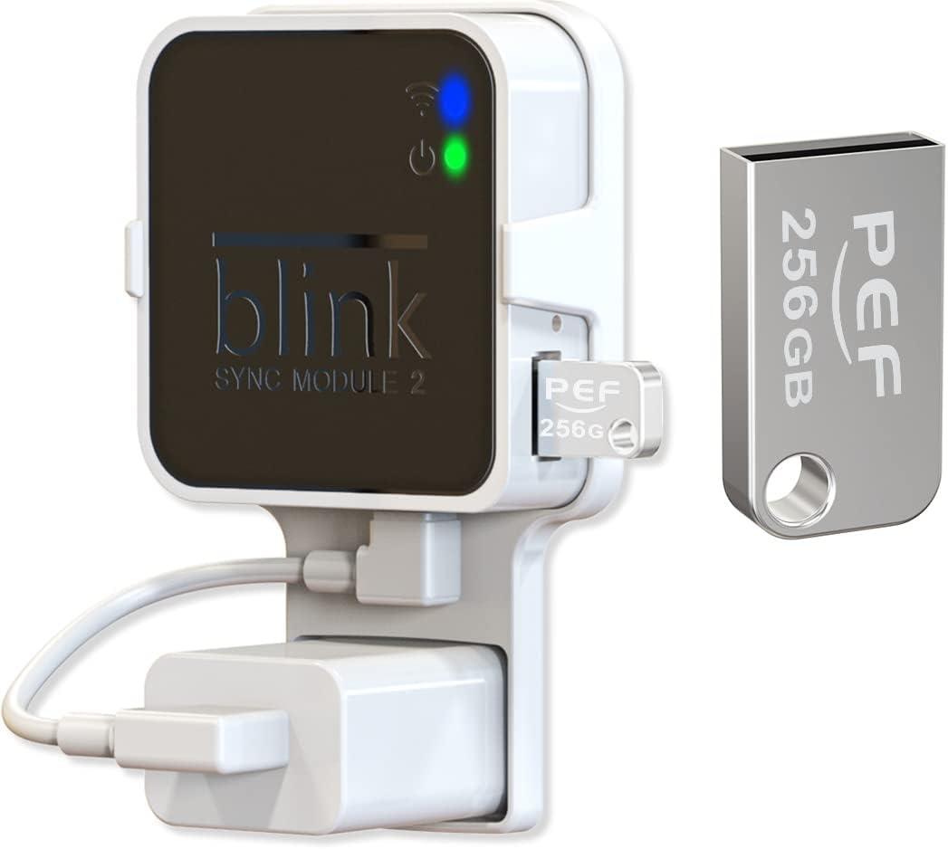 Surprising Insight: No-Drill Blink Camera Mount for Outdoor Security