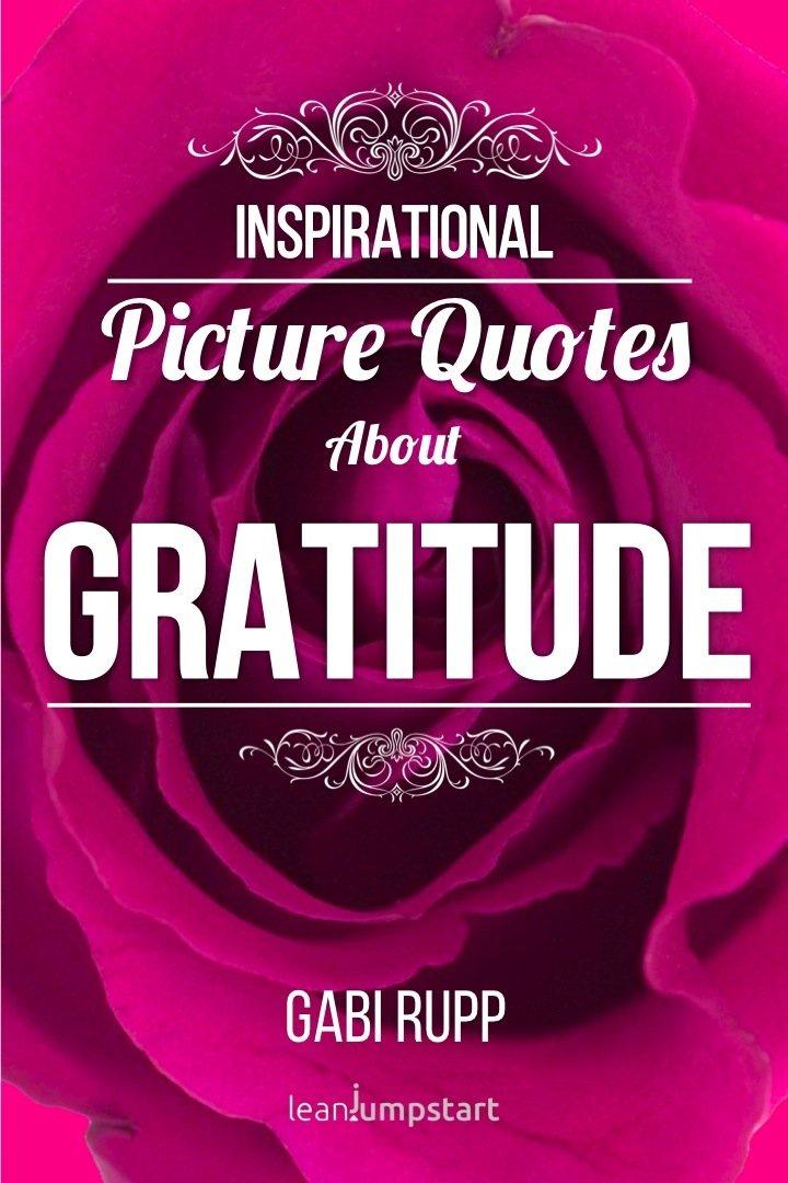 Gratitude Book 5 vs. Journals: Tested Meditation & Visuals Insight