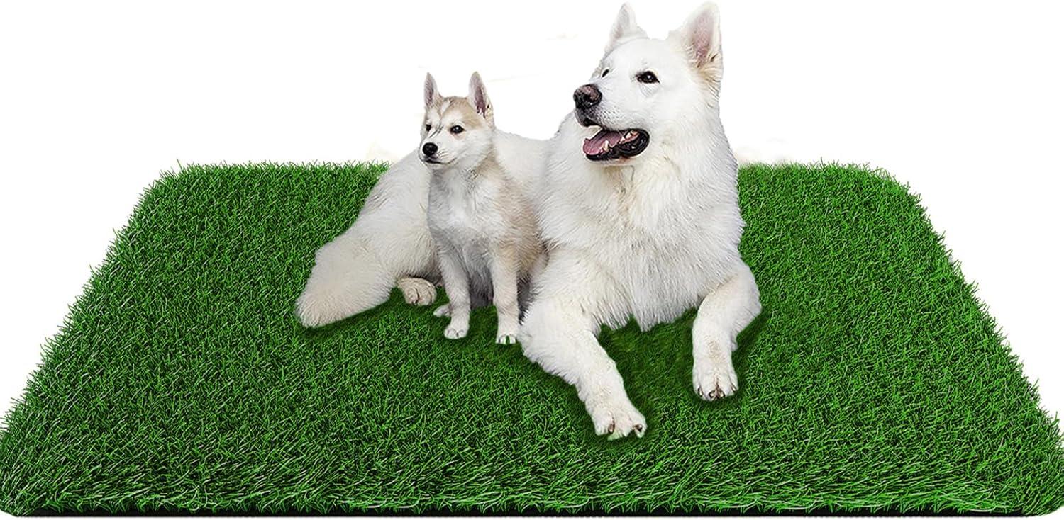 Happy Pups: Tested Strength, Shocking Absorbency, Outdoors... (Best Fake Grass Showdown)