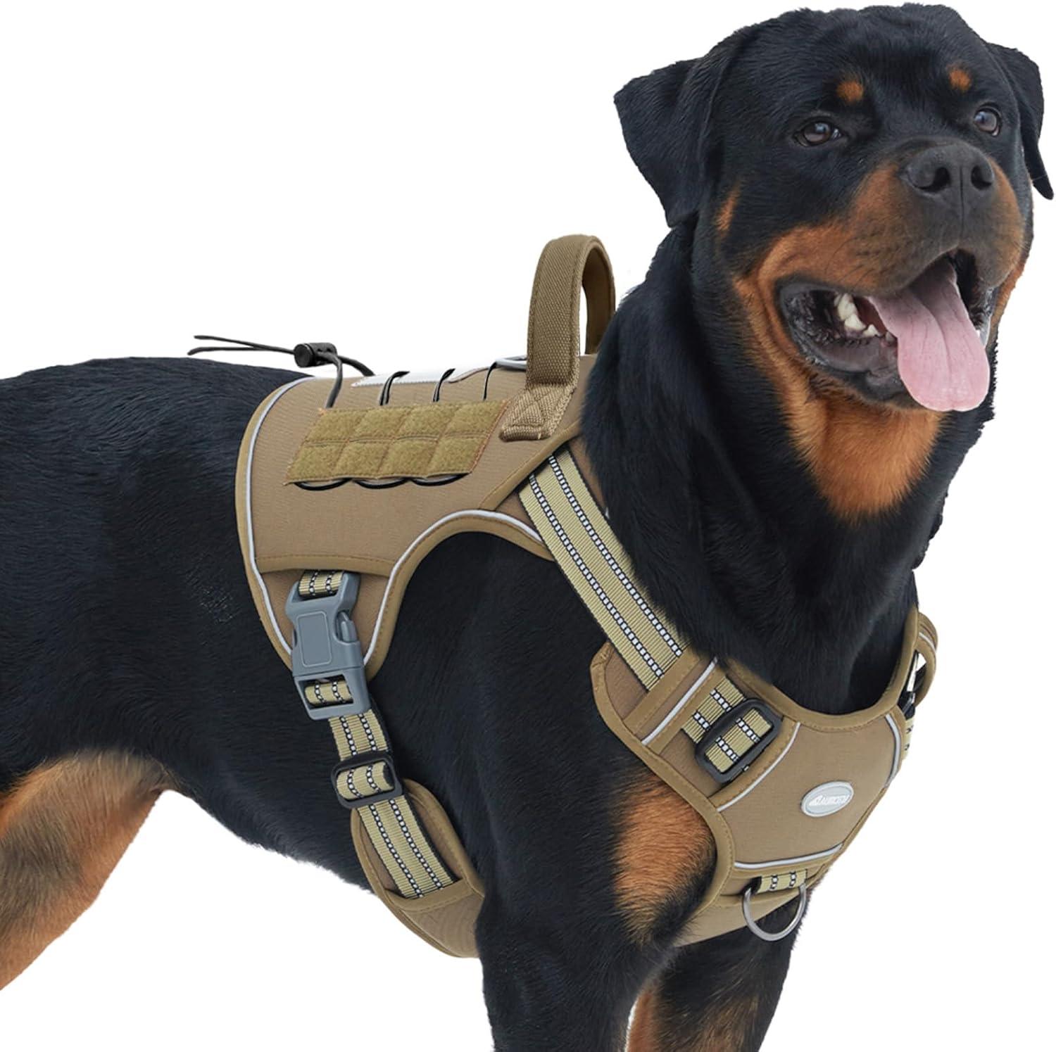 Comparing Tested Harnesses For Large Dogs: Spring Walks Edition