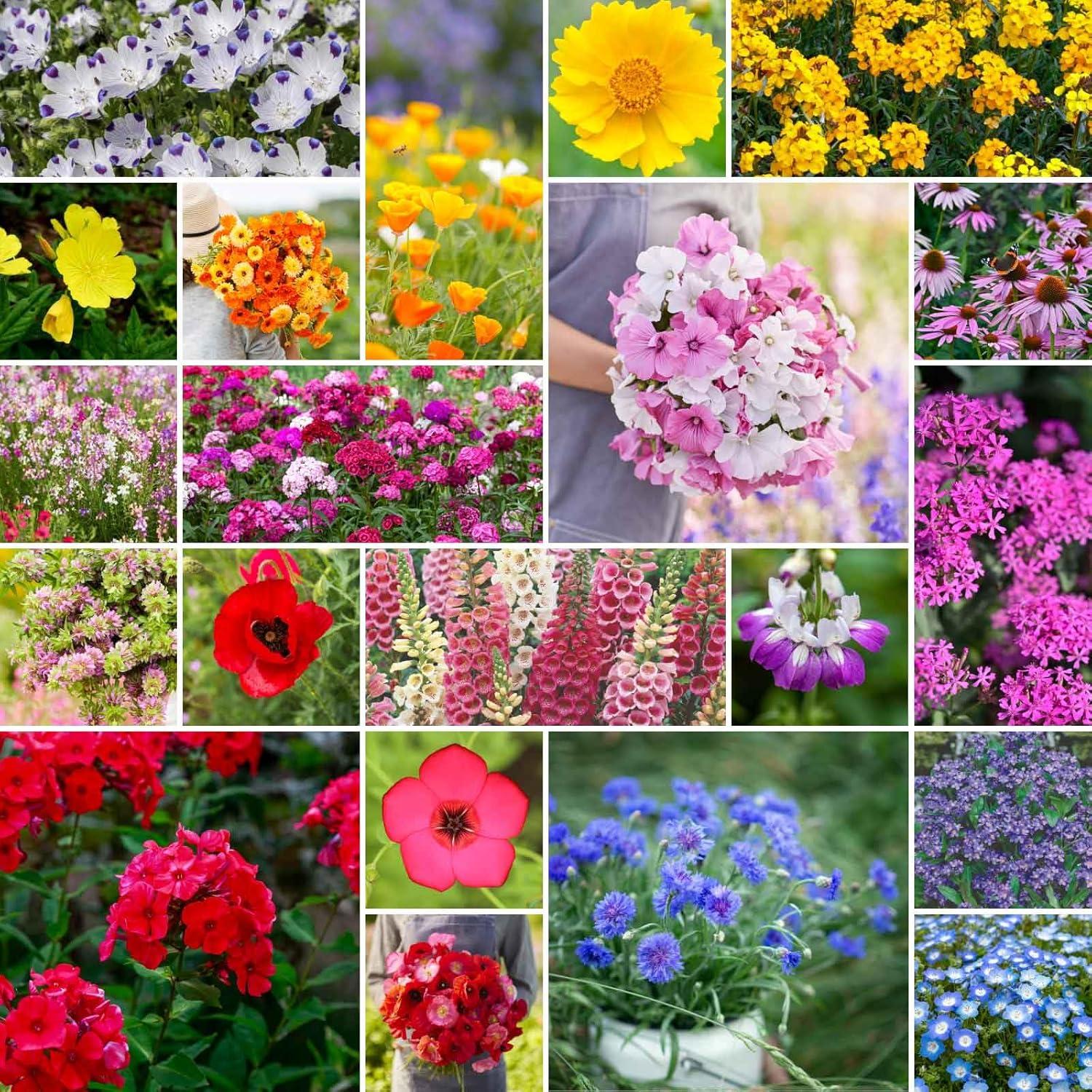 Eden Versuswildlife Mix: Tested Seeds, Shade, Blooms... Best Spring/Fall plant!