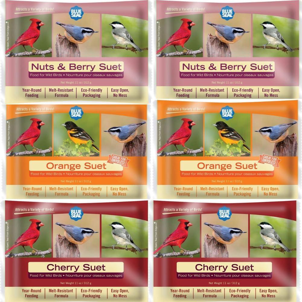 Blue Seal Suet: Tested Attraction For Winter Birds With No Mess…Surprising Joy!