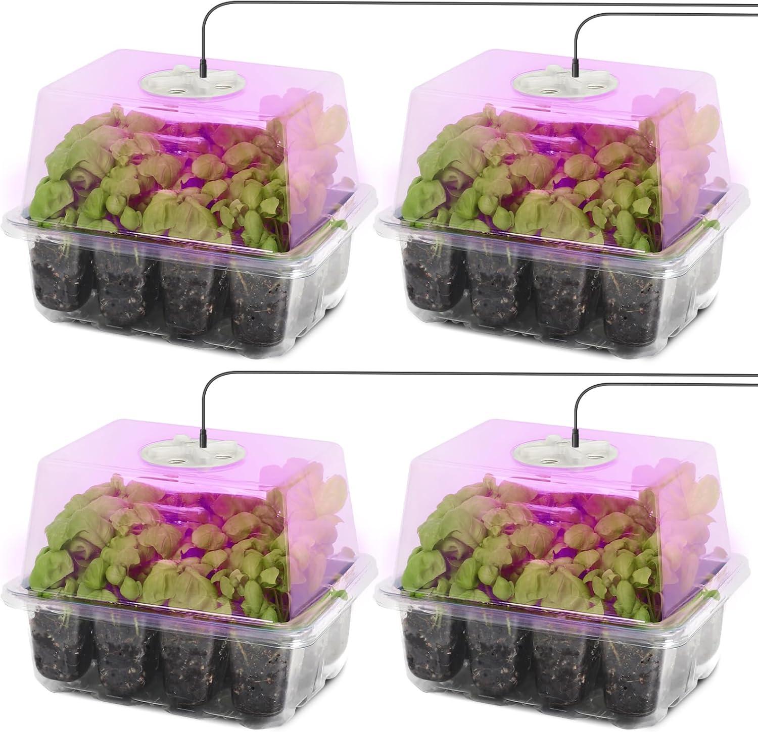 Surprising Insight: LED Grow Light Showdown... Indoor Plants Thrived!