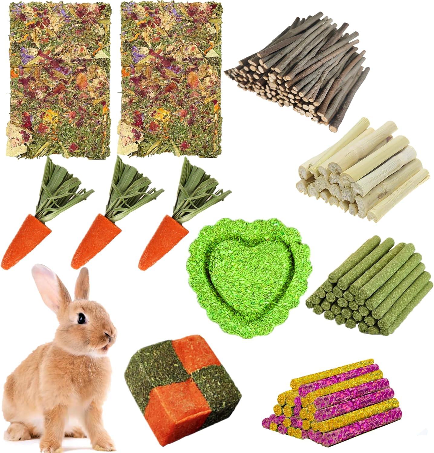 Chew Toys Showdown: Surprising Insight on Pet Dental Care