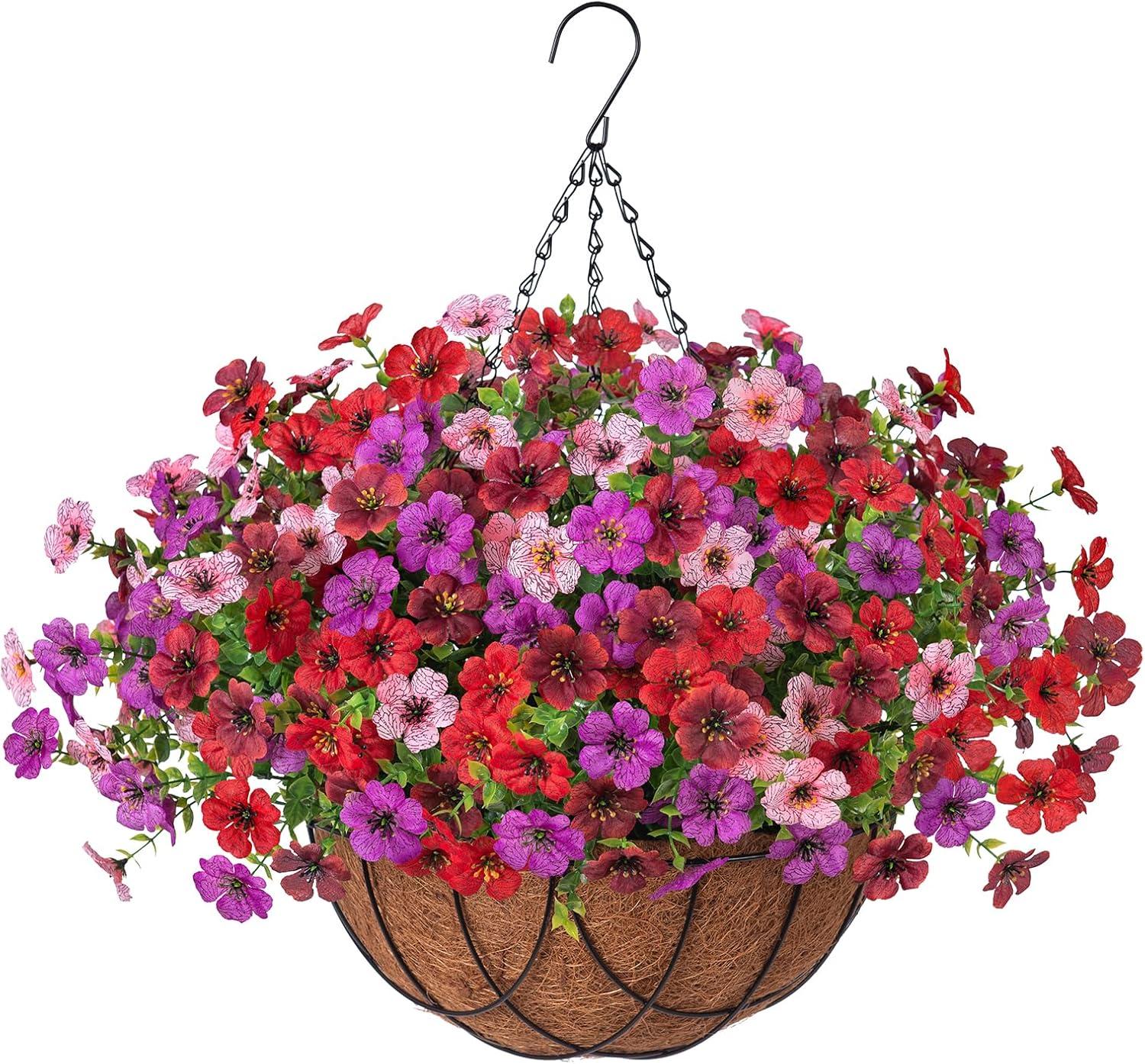 Hanging Baskets vs Eucalyptus: Surprising Color Impact (Tested for Low-Maintenance Spring Decor)